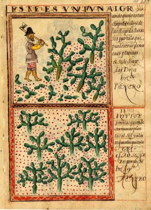 messoamerica:Gomez de Cervantes’ Memorial and the Anonymous Pictorial Manuscript Codex, AD 150