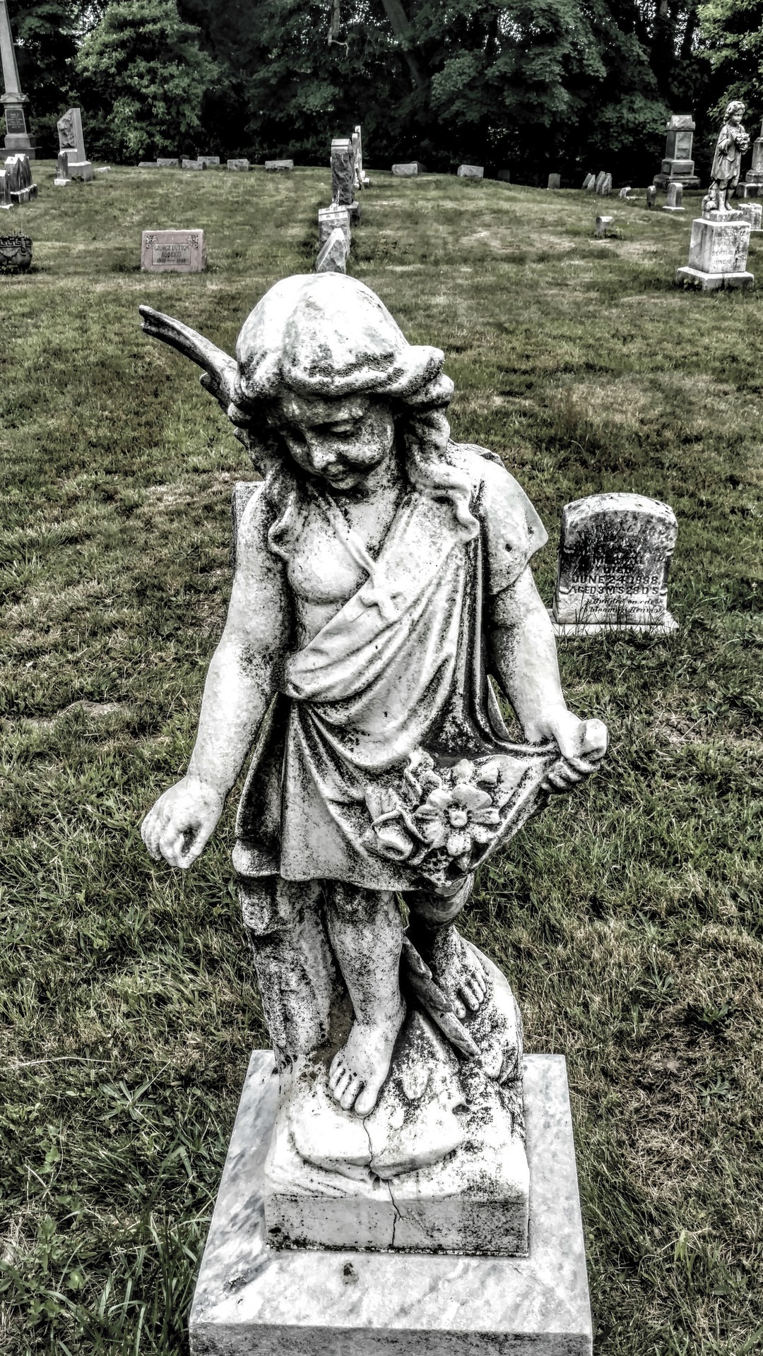 swforester: The angel with a broken wing. West Springfield MA 2017