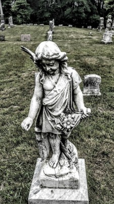 Swforester: The Angel With A Broken Wing. West Springfield Ma 2017