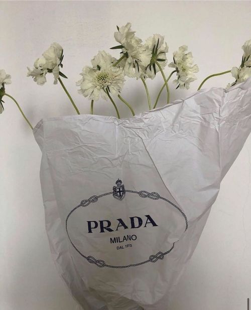 lacooletchic: @prada Art floral  #flowers #lepouvoirdesfleurs #prada #bientotleprintemps #springstyl