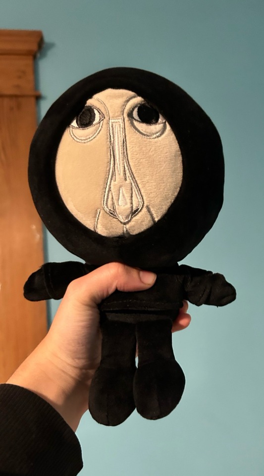 LOOK WHO CAME IN THE MAIL