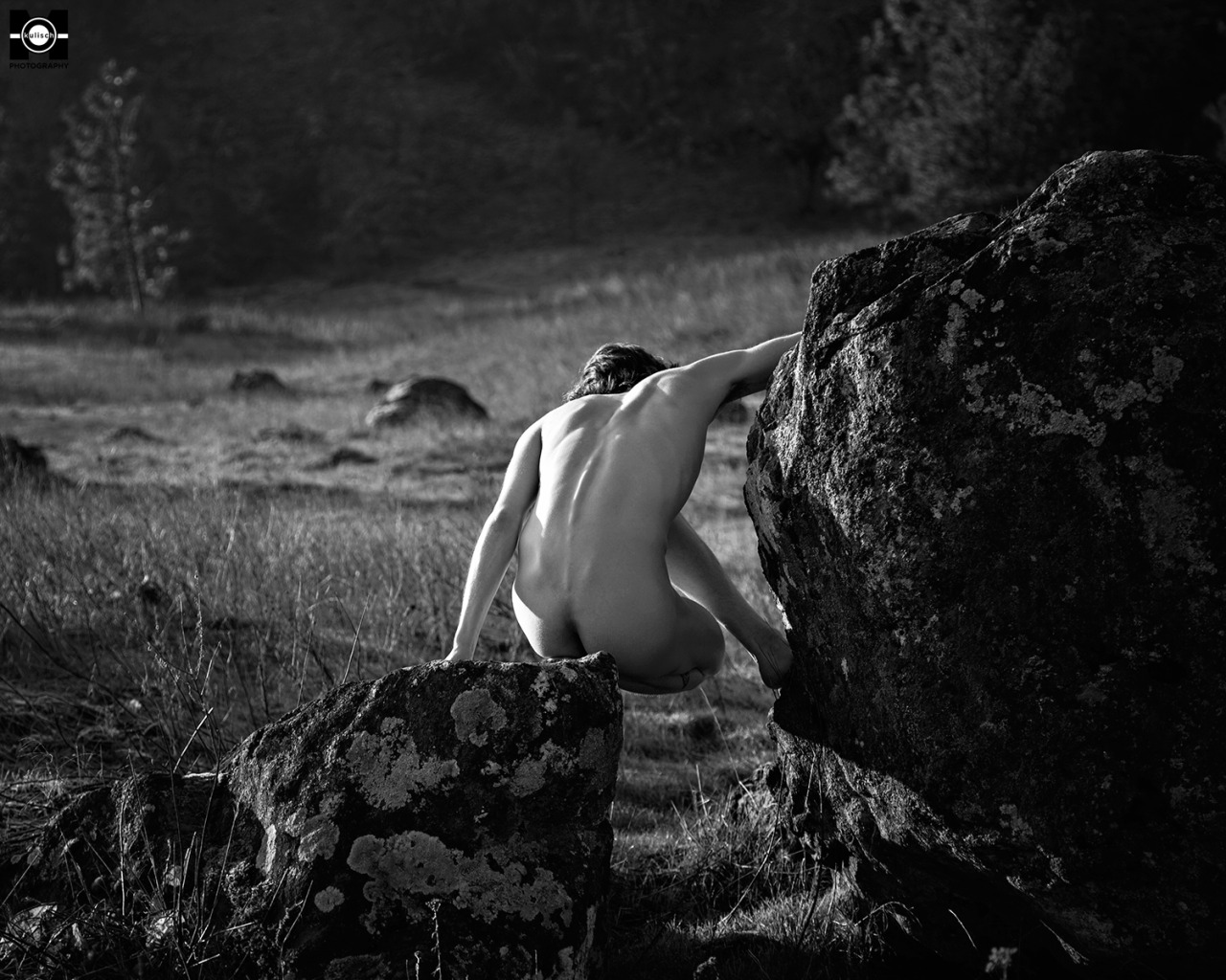 Bear Michael in The Republic #3. Rowena Crest Viewpoint near Mosier, OR. February