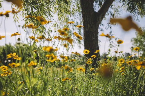 boohwanj:2022-05-29Golden WaveCanon EOS R3 + RF15-35mm f2.8L ISInstagram  |  hwantastic79v