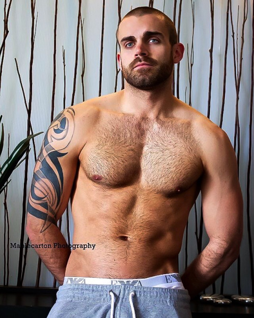 furrypty:  http://furrypty.tumblr.com/ – a blog to indulge your senses with the beauty of male shapes.