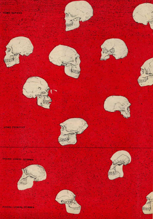 nemfrog:The skulls of early humans. Popular Nucleonica. March 1960.Internet Archive