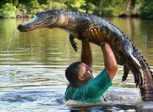 belovedmonsterbooty:  blazepress:  “Cause I’ve had the time of my life…”  THE RIVER’S FULL OF FREE DOGS 