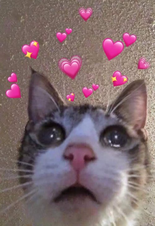 Chequito The Fuckin Beautiful Man That You Are