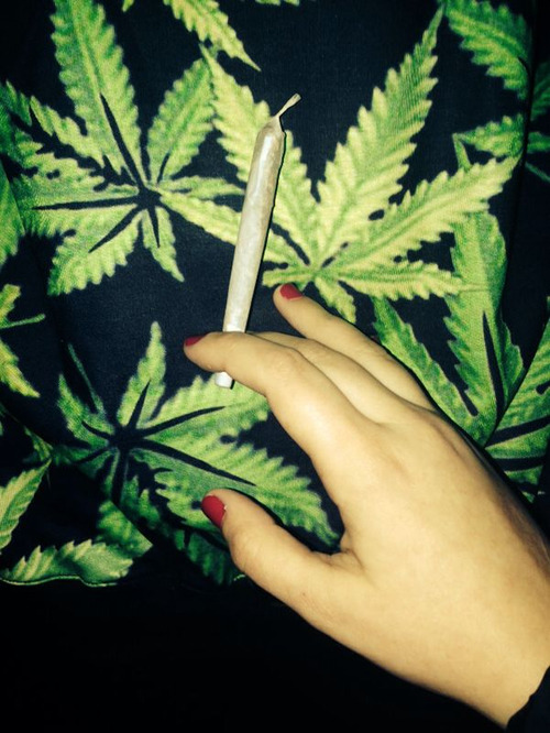 Dama do vagabundo