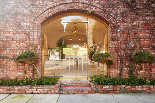 {Love this trend for retail interiors to be more residential in feel. This is the Irene Neuwirth sto