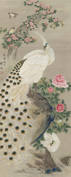 japaneseaesthetics: Peafowl and Flowers 牡丹孔雀図（双幅） Miura Shien (Japanese)JapaneseEdo period MEDIUM/TE