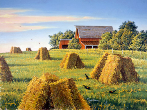 veiligplekje:Harvest Gold by John Sloane