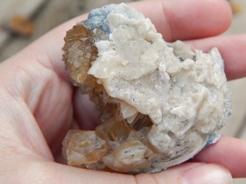 Another Fossilized (partial) Clam Shell with Honey Calcite crystal cluster growth ! This thing is 2 