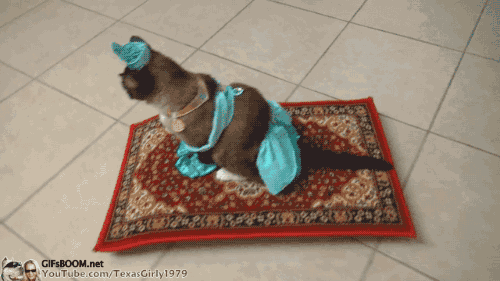 I can show you the world Shining, shimmering, splendid