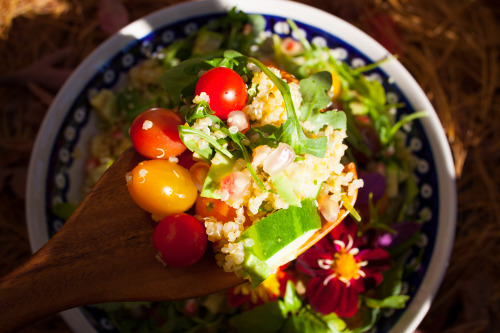 Olenko’s Happy Thanksgiving Harvest Salad 1 cup cooked organic sprouted quinoa 1 organic avoca