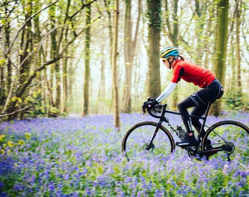 gruberimages:  No blue bells were harmed in the making of this picture! Nothing was hurt, it was fun