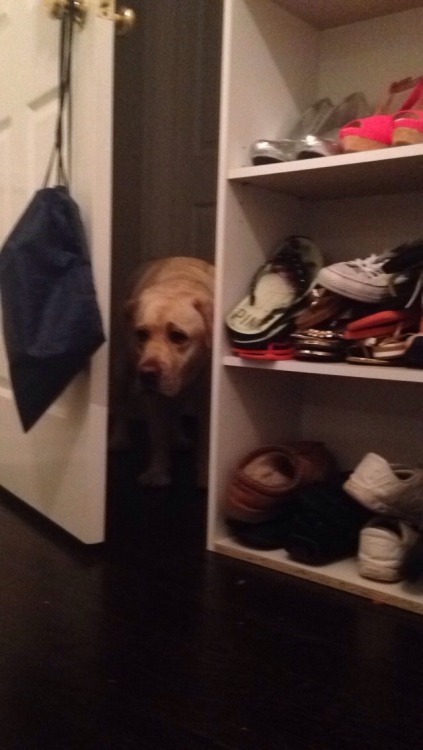 taggedrne:  bubba doesn’t know how to walk through halfway opened doors and accepted his defeat