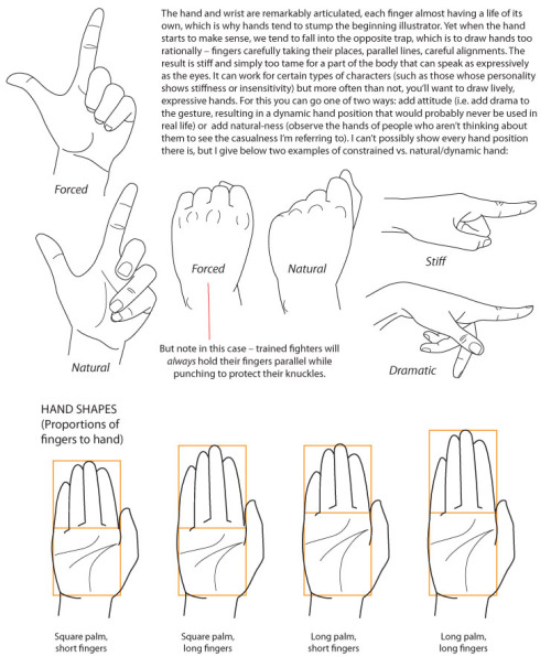 helpyoudraw:Drawing Hands by majnouna on DeviantArt