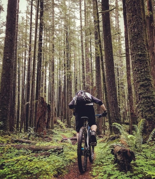 stumptownrider: No shuttles here earning every down hill #riding #trails #siouxoncreek #29er #thesin