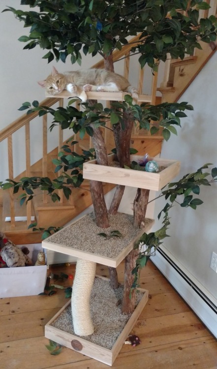 sosuperawesome: Pet Tree Houses on Etsy Obsessed 