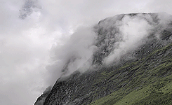 Vikings, landscapes.