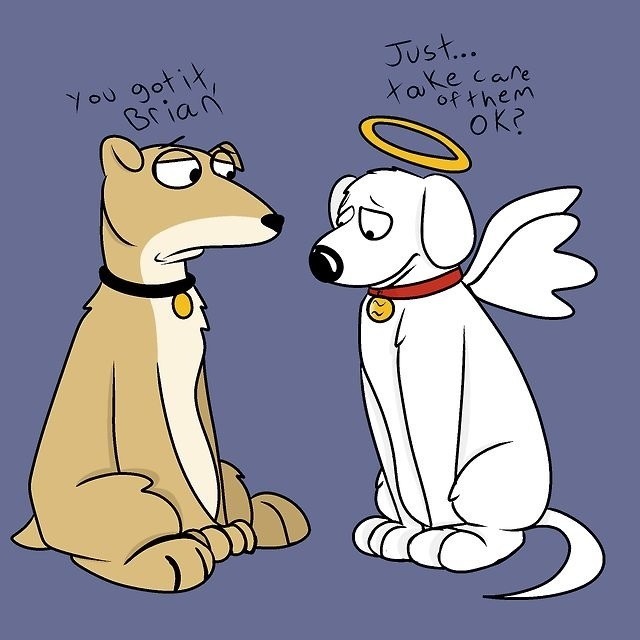 nasty-gyalxxx:  asky0urmother:  macsncheese:  Okay. That made me get tears in my