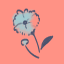 flowedrea