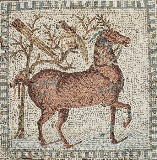 last-of-the-romans:Mosaic of Horses, Archaeological Site of Carthage| 3rd Century AD