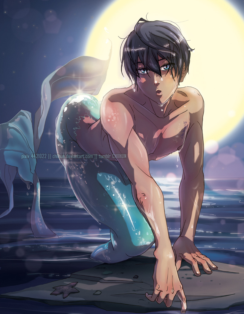 chiihun:  and here is the last 2 of my future fish prints for AN ORZ  ….haru looks