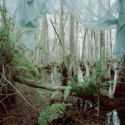 pleoros:  Rebecca Reeve - Marjory’s World, 2012 