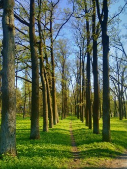 Gatchina palace park, Russia