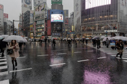 heartisbreaking:Tokyo Rain by Corey Hamilton on Flickr.