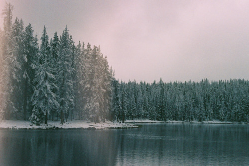 September Surprise Canon AE-1 shot on expired Kodak Max 400Teapot Lake, Uintas. UtahInstagram