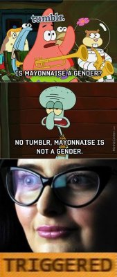 bubblegumbugg:  Imagine thinking this was the pinnacle of comedy   “Haha some people get triggered by things that i think are unreasonable so clearly they are just an attention seeking 13yr old xDdD”