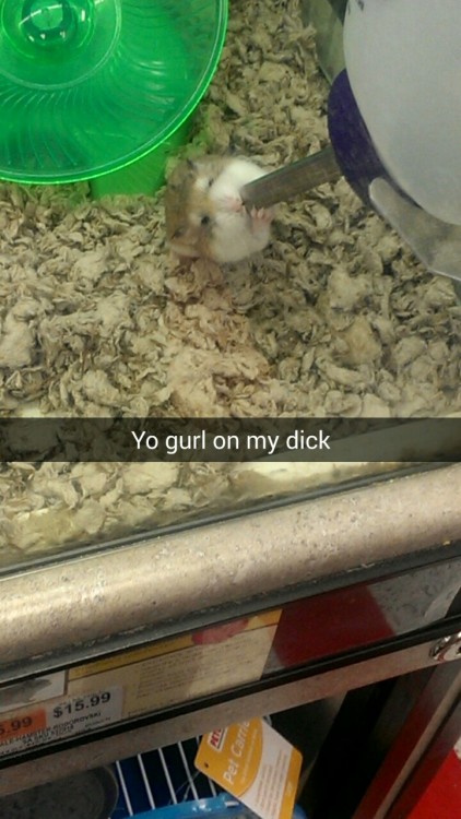 ugly-bread:  I went to a pet store today