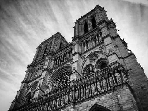 Notre-Dame de Paris © 2016 Sylvain G. - Toute reproduction interdite - Tous droits réser