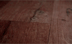 lydiaspeters:  &ldquo;She’s behind bars, and I still cannot get far enough