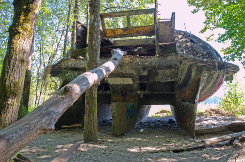 bobcronkphotography:The UFO of Collins Beach - Along the treeline of Collins Beach on Sauvie Island 