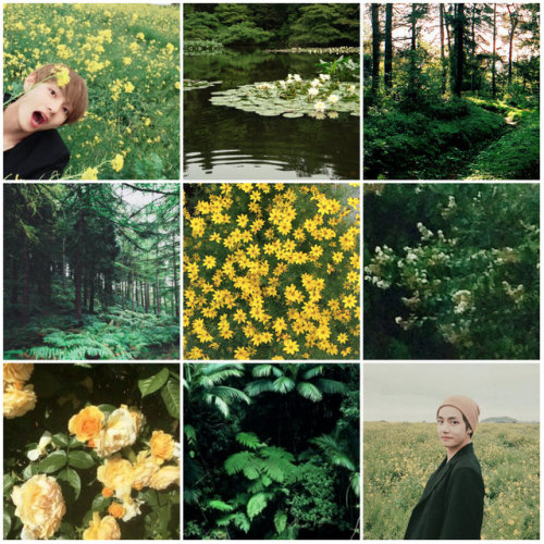 #bts#taehyung#v#flowers#green#yellow#nature#aesthetic