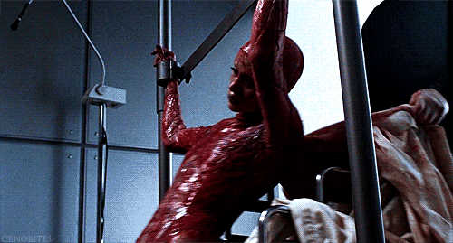 bien-ctm:  algo de gore piola …. mariocalimocho is back!