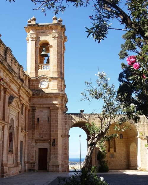 lararosemary:The courtyard of The Sanctuary of Our Lady ofMellieħa, Mellieħa, Malta