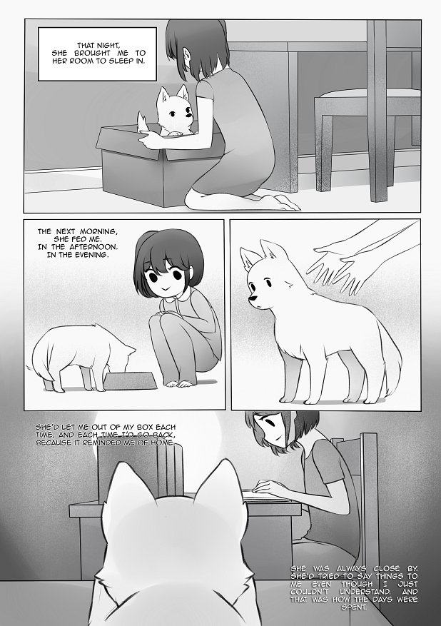 starmageasuka:  A Dog’s Days - Part 1//Part 2People are probably wondering why