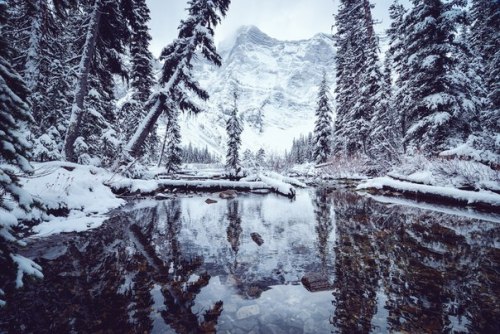 an-adventurers:  The longest journey is the journey inward. 