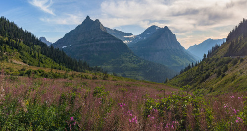 Going-to-the-Sun Road by nexotal