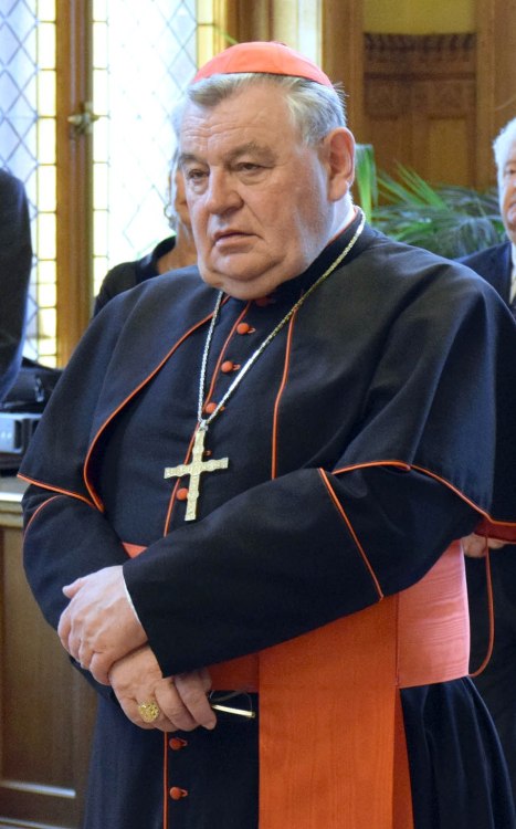 daddybeariness:….I suppose  these pics of a priest  are following the new guideline