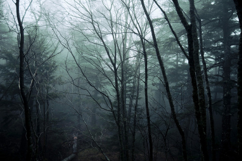 North Yatsugatake mountains / Nagano Prefecture by sf1003！ on Flickr.