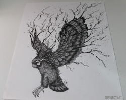 eatsleepdraw:  Surgency Art - Forest OwlI