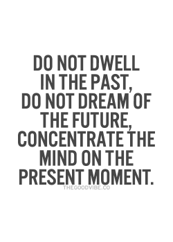 kittiesnlollies:  The past is gone but we can learn from it, the future is coming, we can only vaguely steer our course. Be in the “now” and live your life.  Wise words MDJ ♥