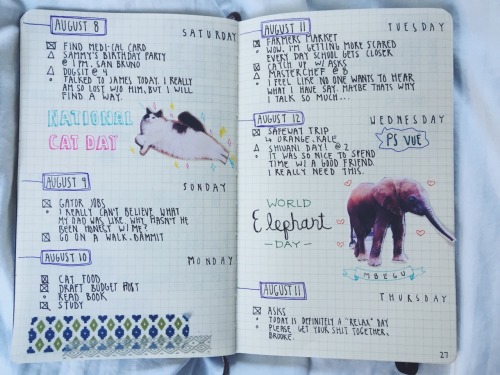 8.19.15 // This Past Week Encompassed My Two Favorite Things: My Cat Milo And My Foster Elephant Mbegu!