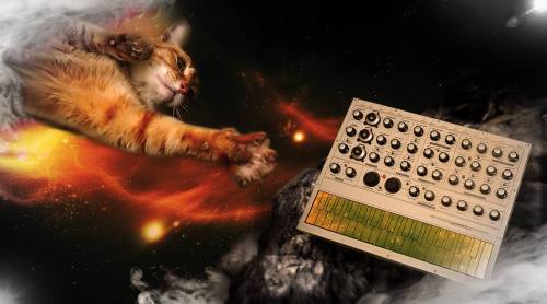 catsonsynthesizersinspace