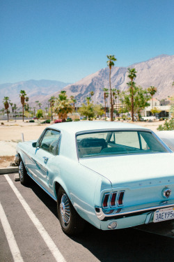 timmelideo:  Mustang. Palm Springs, CA.